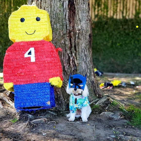 Share 20 ๐ปSharing is Caring๐ป - Picture 6 of 16